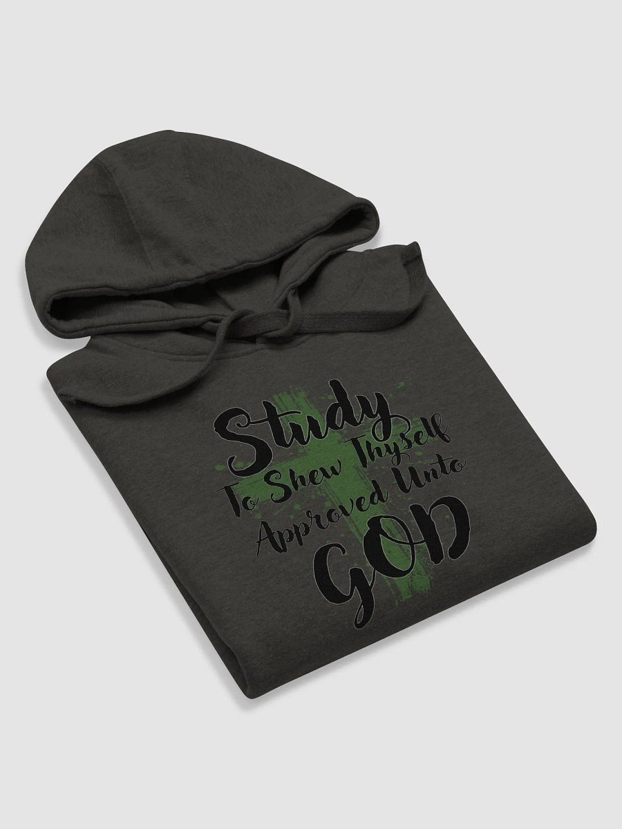 Word of Truth Unisex Hoodie product image (40)