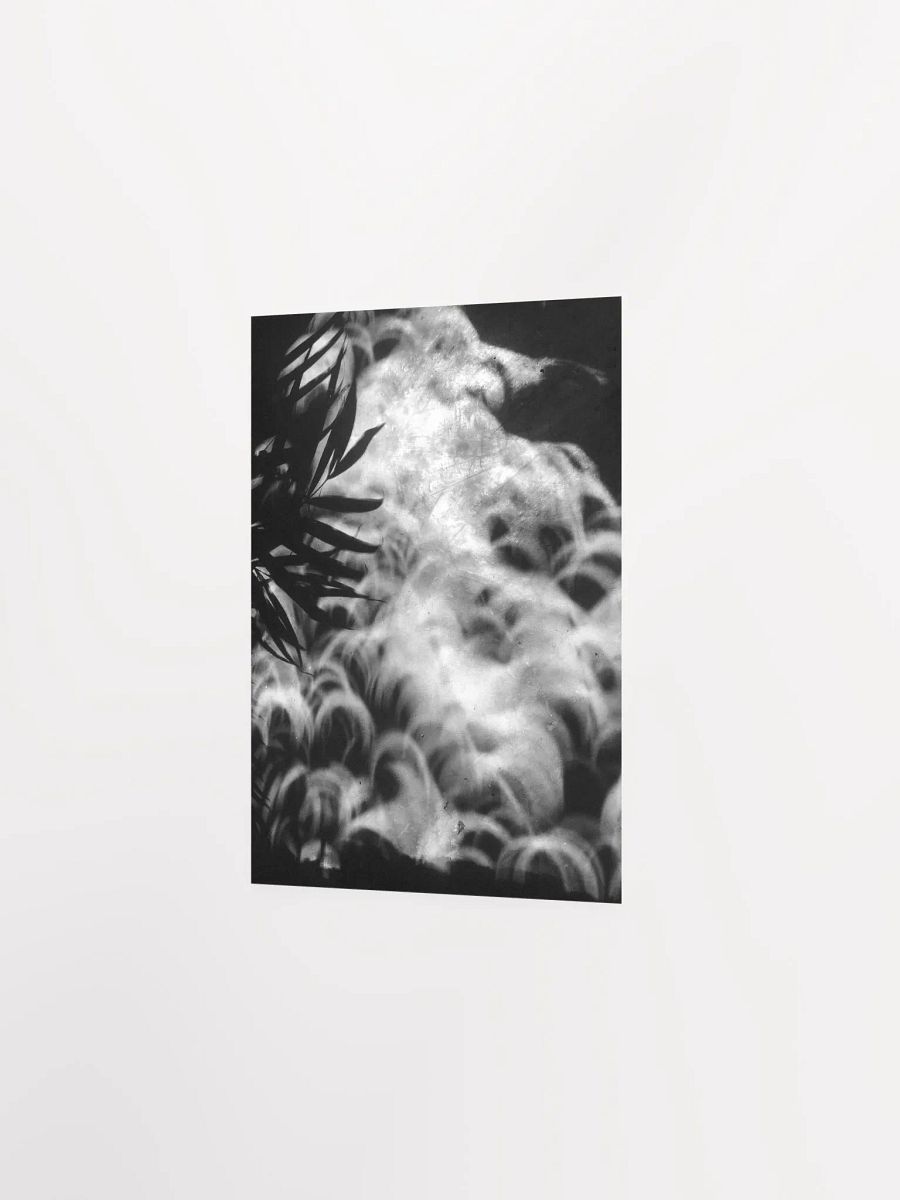 Crescents of Light from the Eclipse - Poster 2 product image (16)