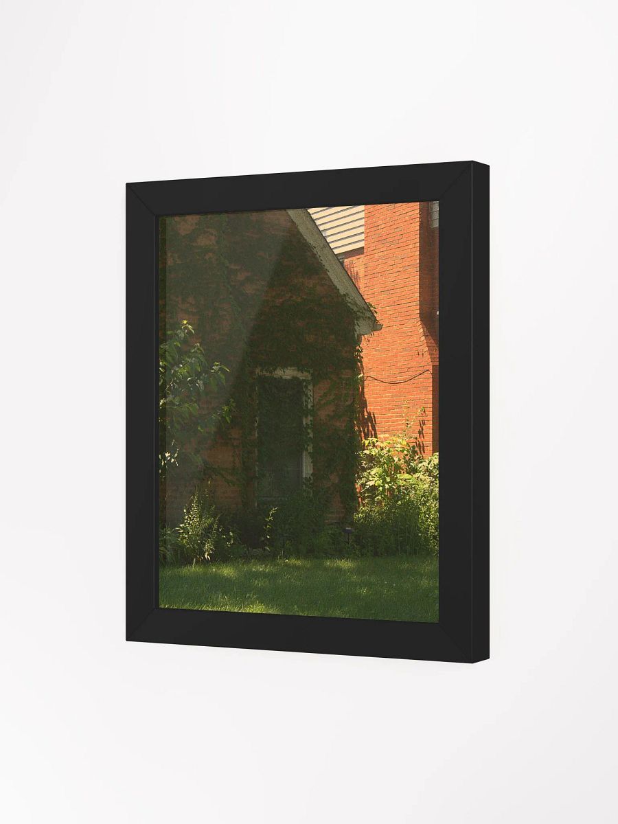 Overrun (framed) product image (18)