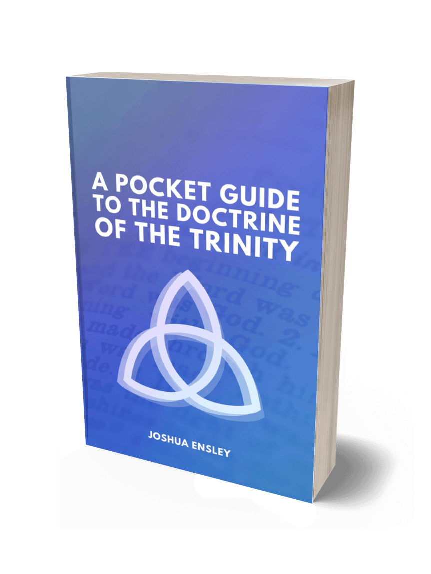 A Pocket Guide to the Doctrine of the Trinity product image (1)
