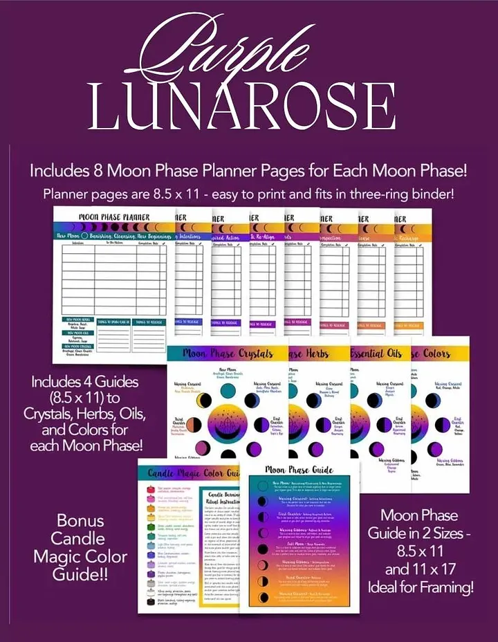 2025 Moon Phase Planner product image (2)