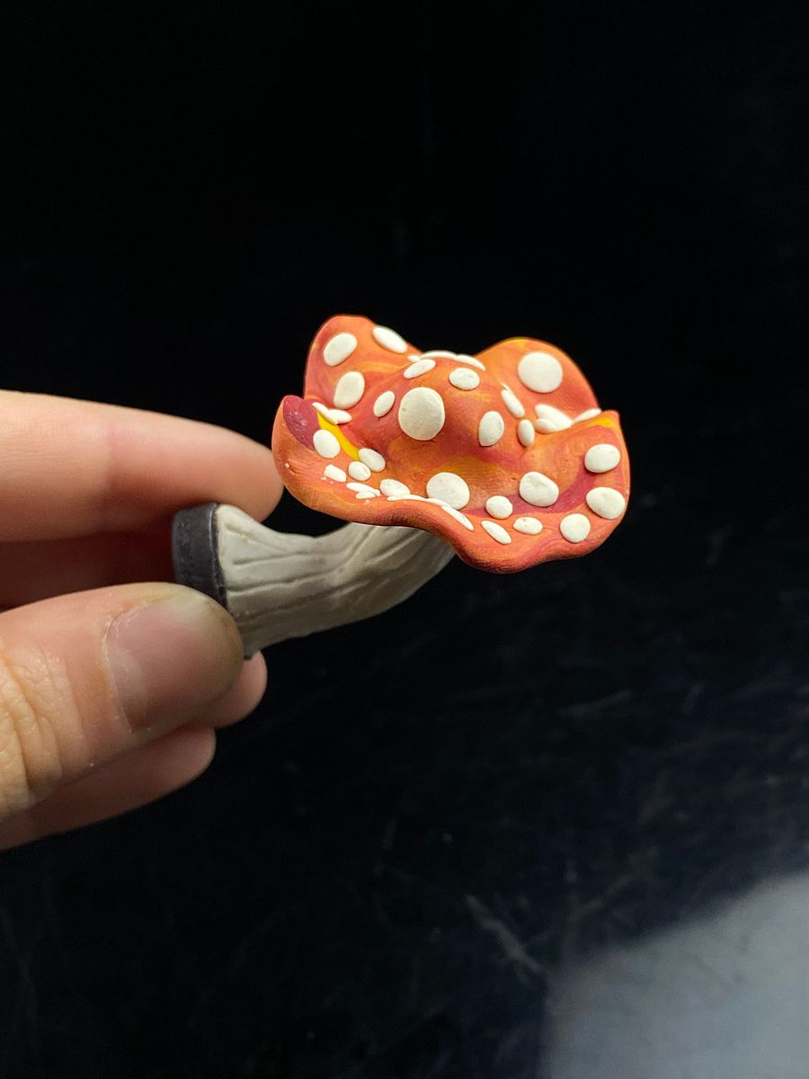 Red and Yellow Tie Dye Mushroom product image (1)