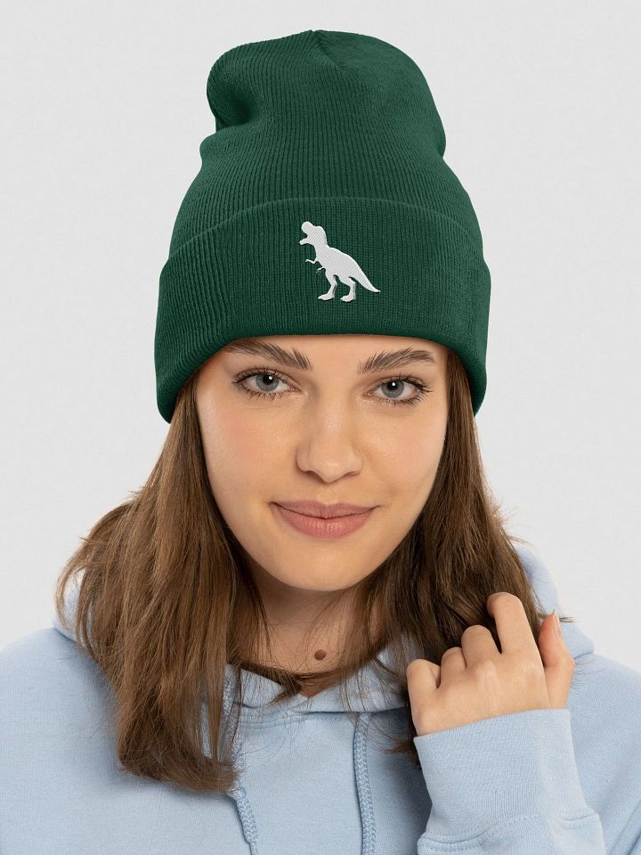 DINOSAUR Beanie product image (1)