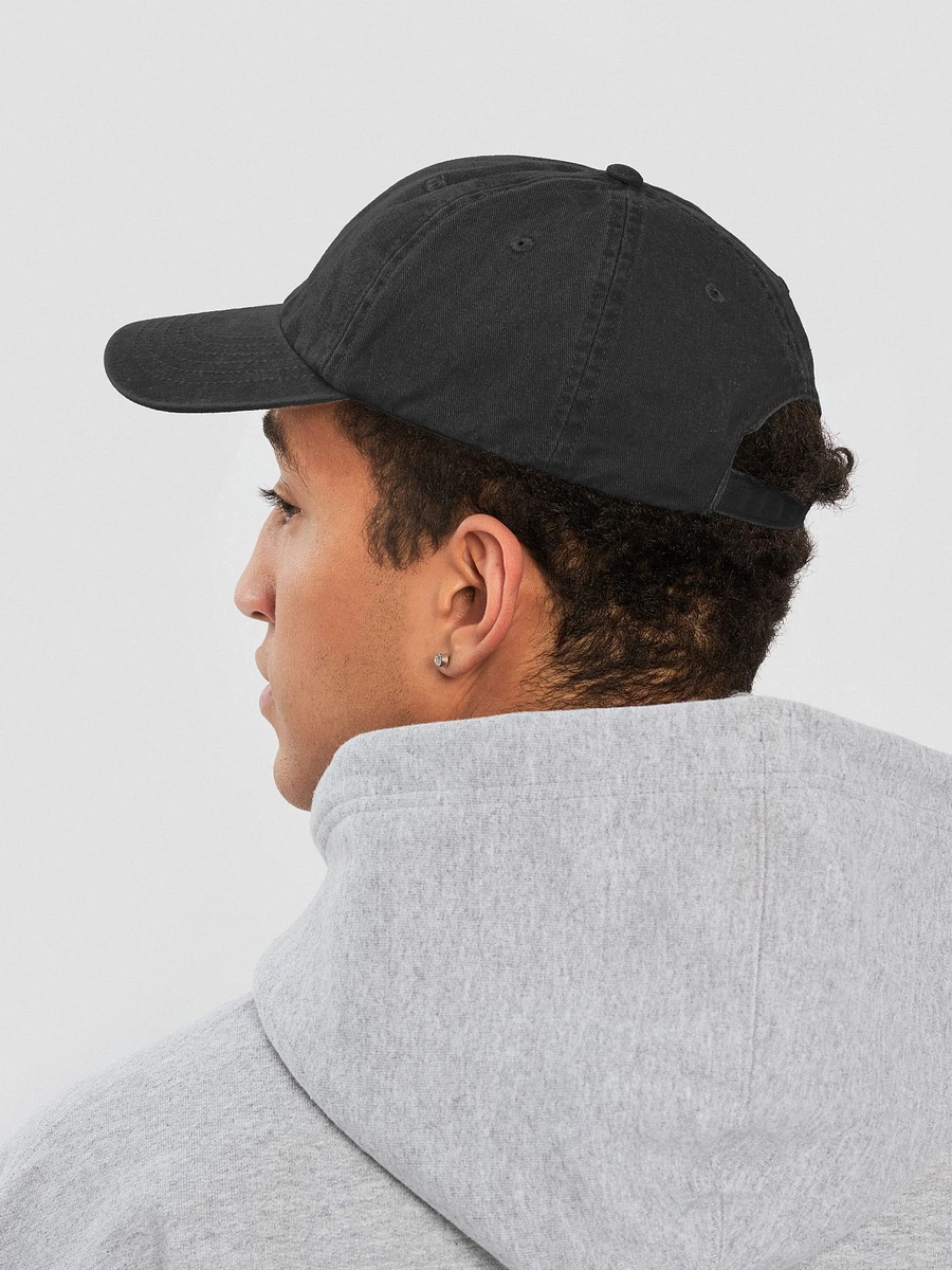 District D logo vintage dad hat product image (35)