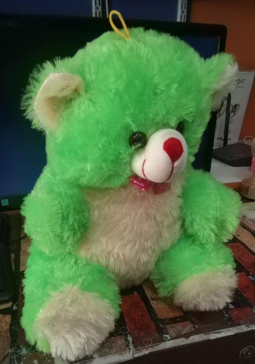 TEDDY BEAR product image (4)