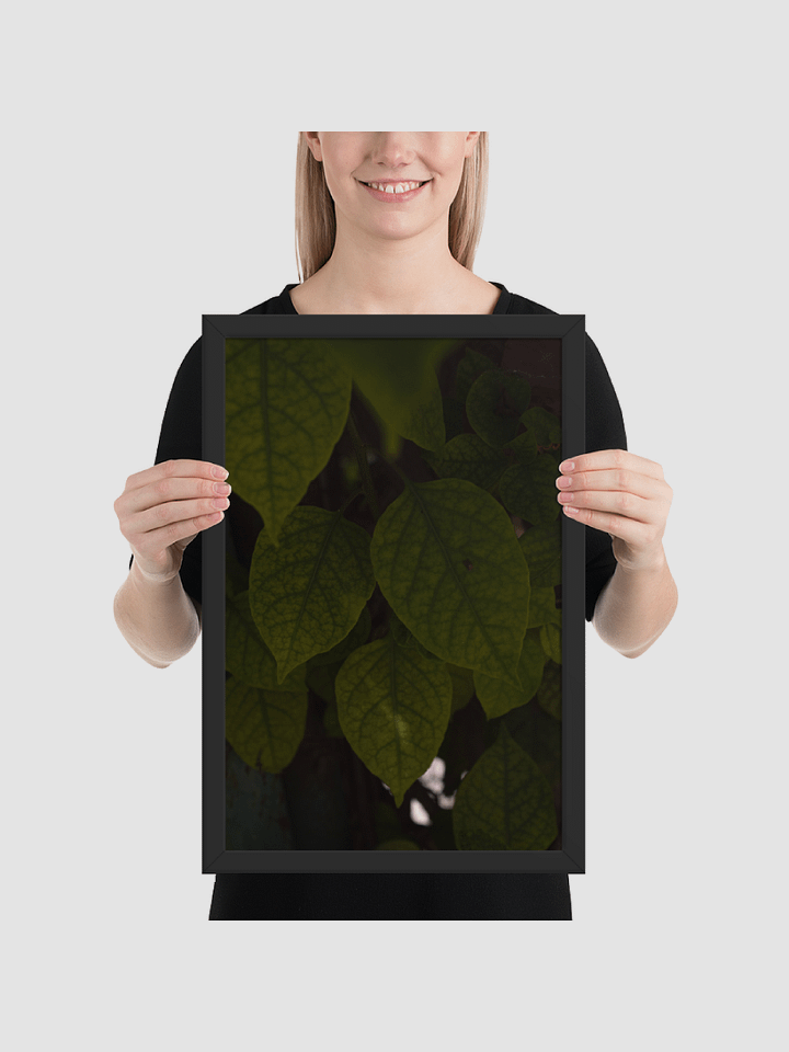 Leaf close up Framed photography Poster product image (1)