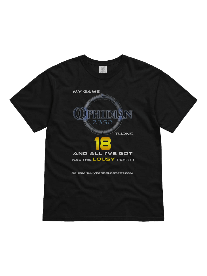 My Game Turns 18 T-Shirt product image (1)