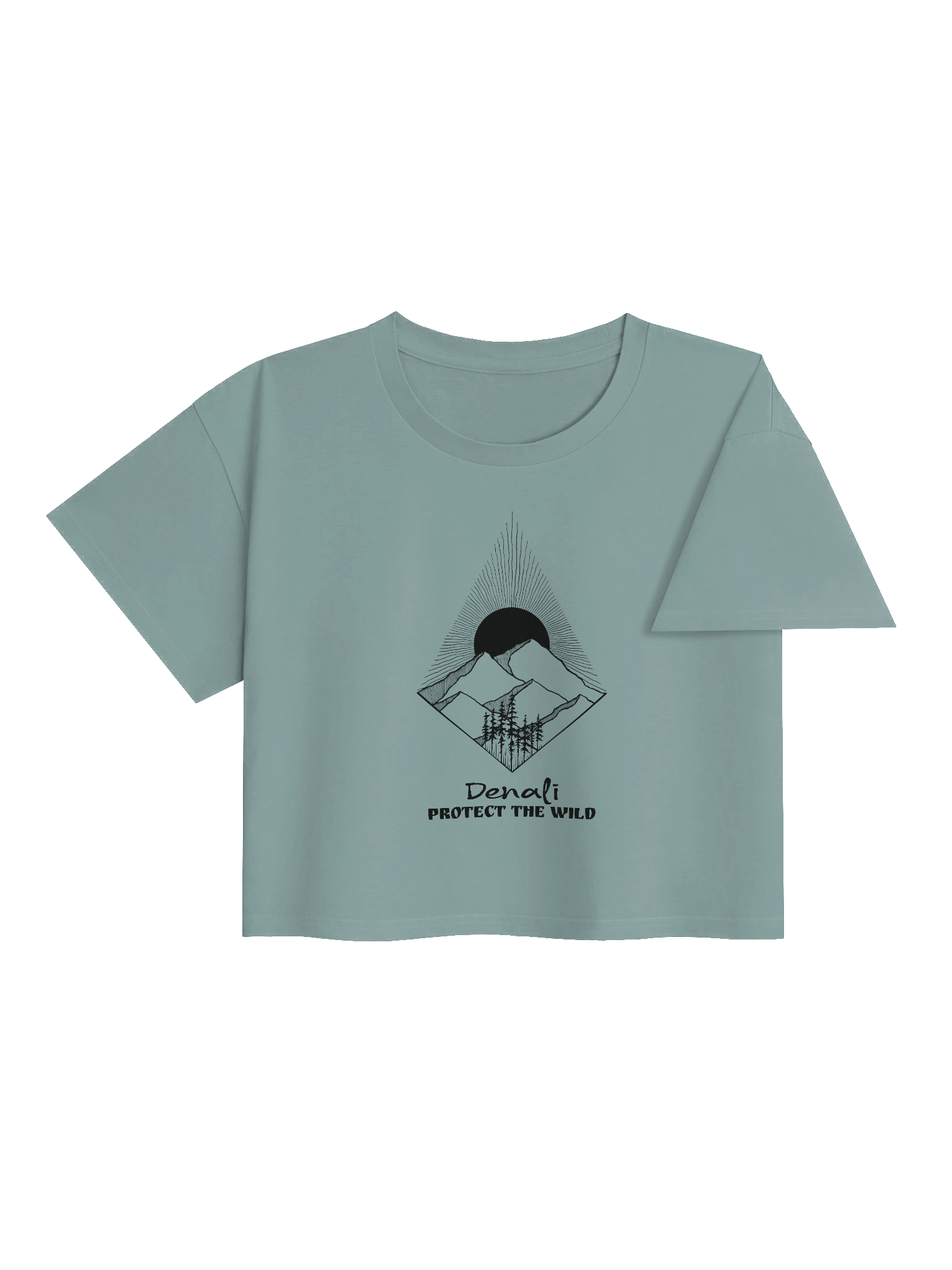 National Park Series Tee - Denali product image (4)