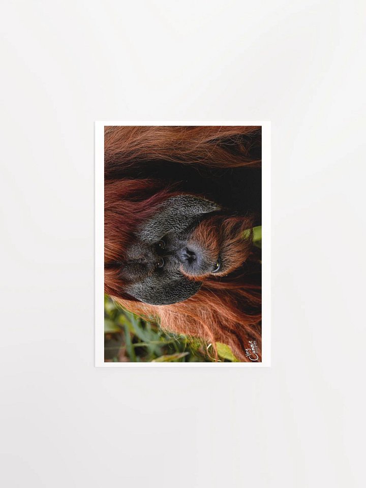 Graceful - Print product image (1)
