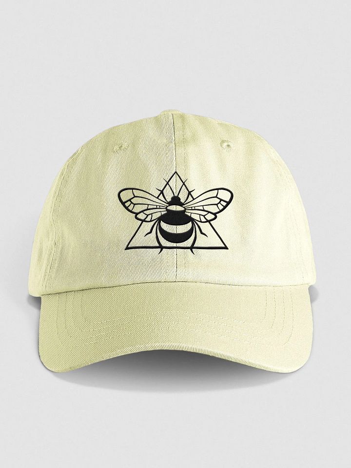 Aribee dad hat pastel product image (1)