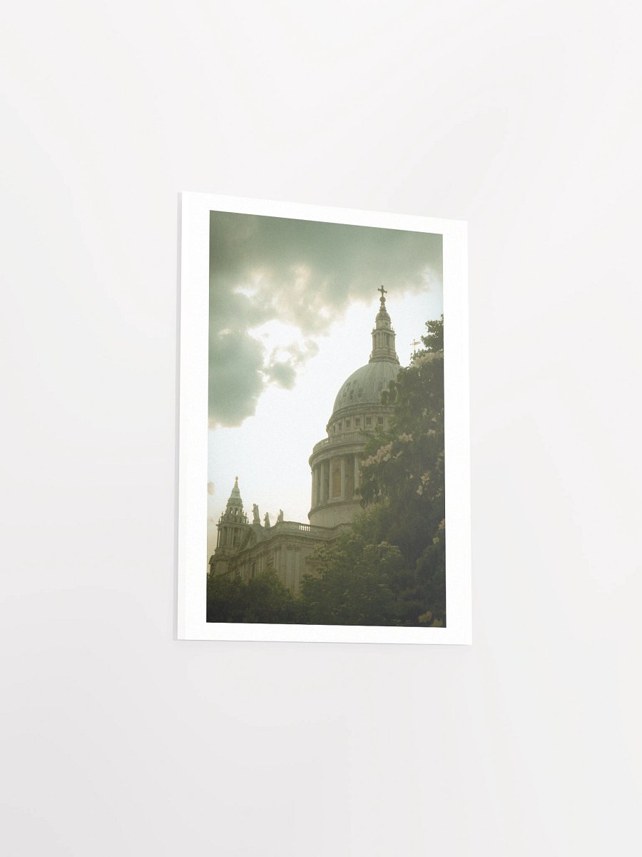 Flowers of St. Paul - Print product image (24)