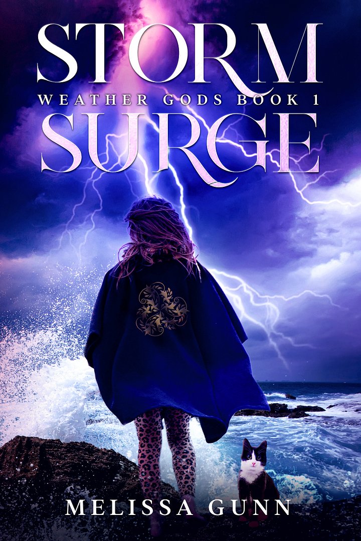 Storm Surge product image (1)