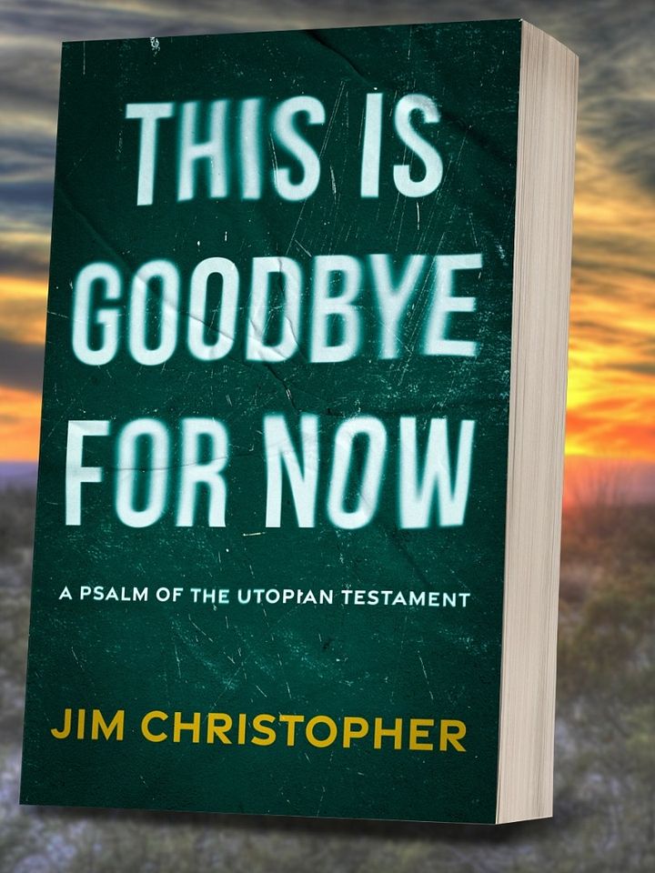 This is Goodbye for Now Paperback (signed) product image (1)