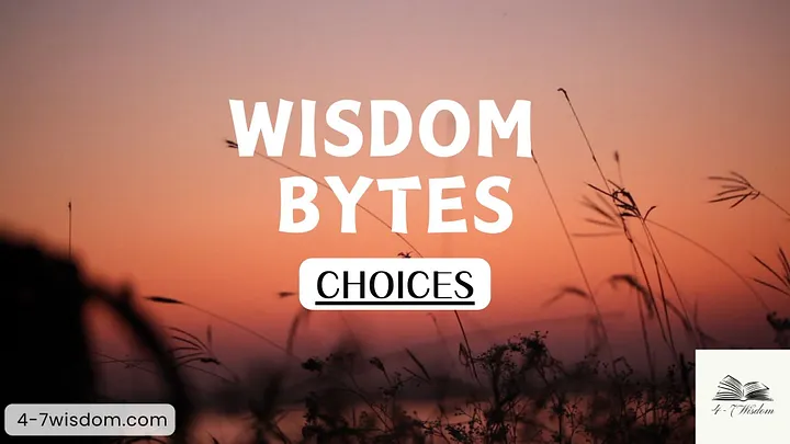 Wisdom Bytes: Choices product image (1)