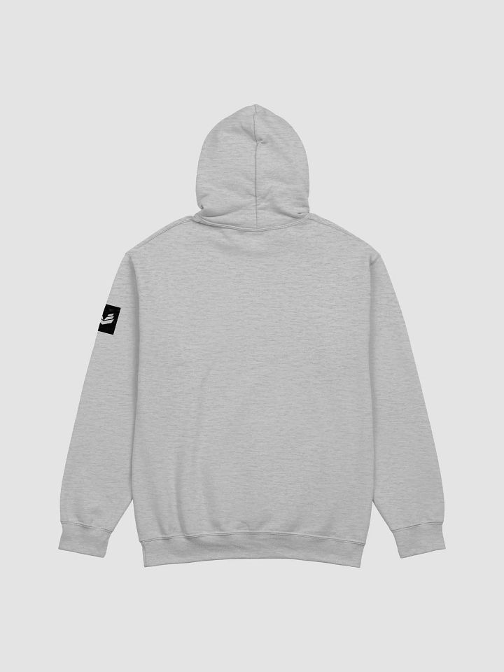 International Movement Hoodie - Sports Gray product image (2)