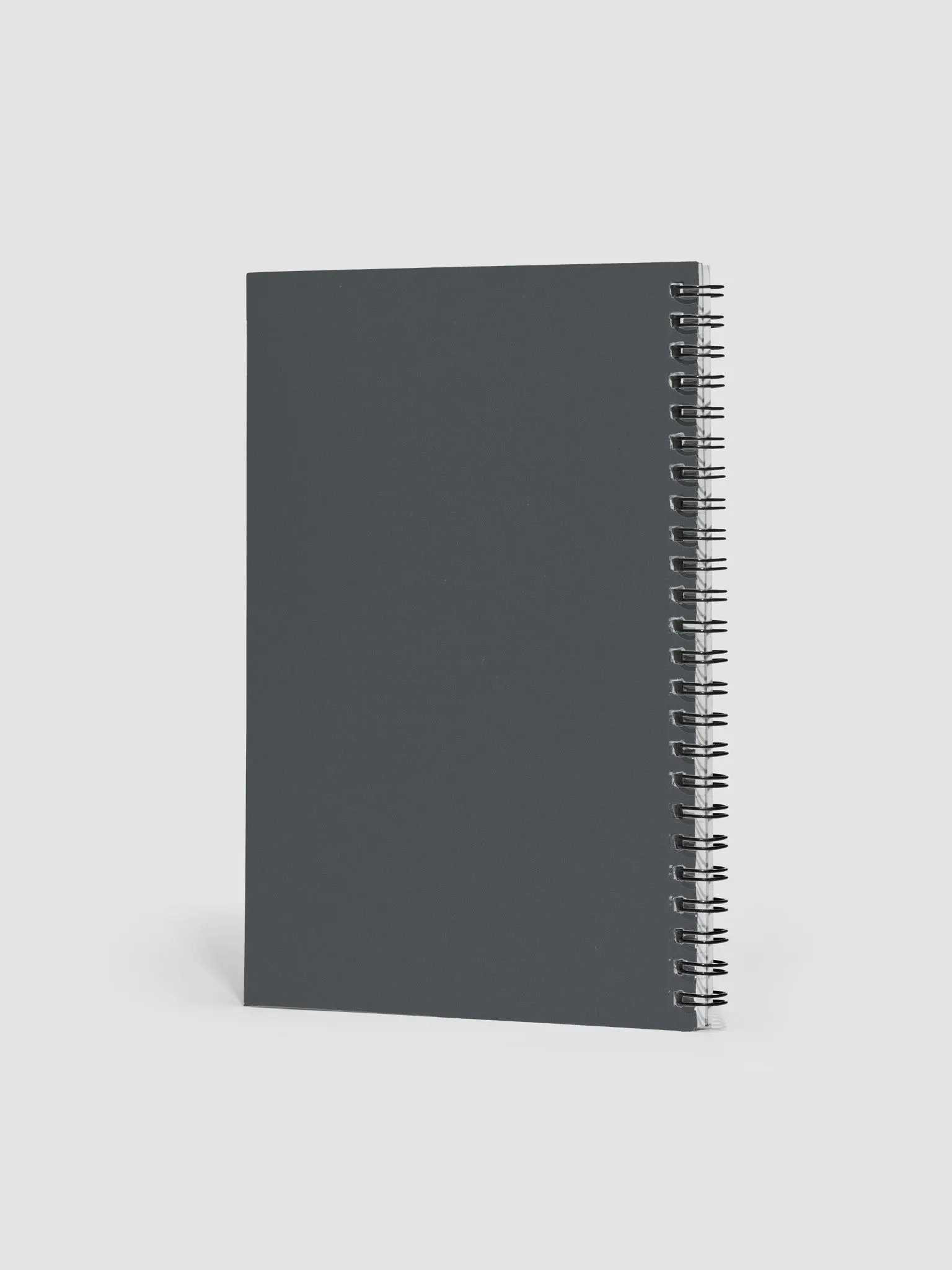This is Fine Spiral Notebook - Grey product image (2)