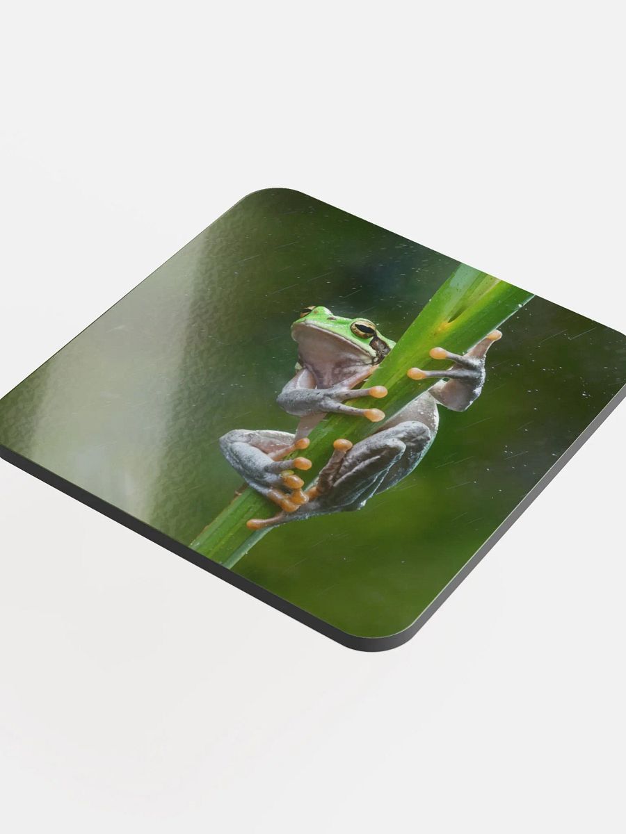Tree Frog Coaster product image (4)