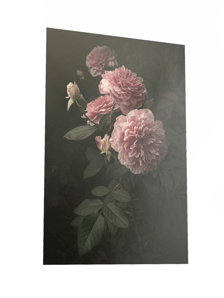 Pink English Roses: Enhanced Matte Paper Poster product image (2)