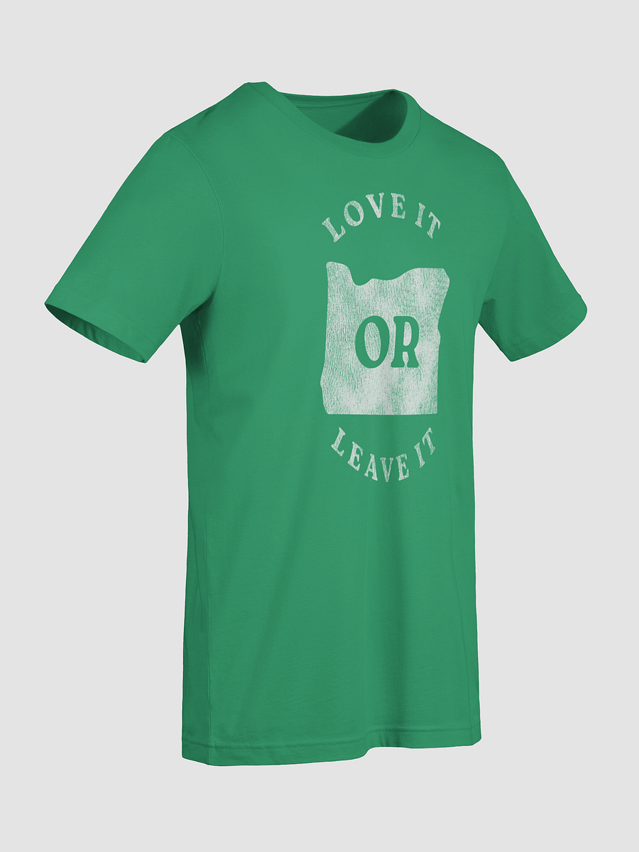 Love it OR Leave it T-shirt product image (45)