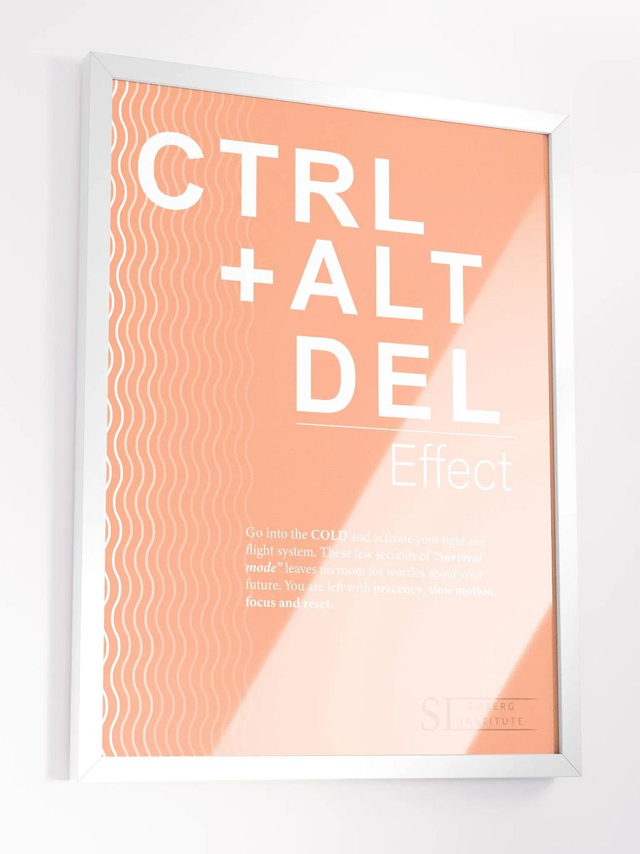 CTRL+ALT+DEL orange product image (3)