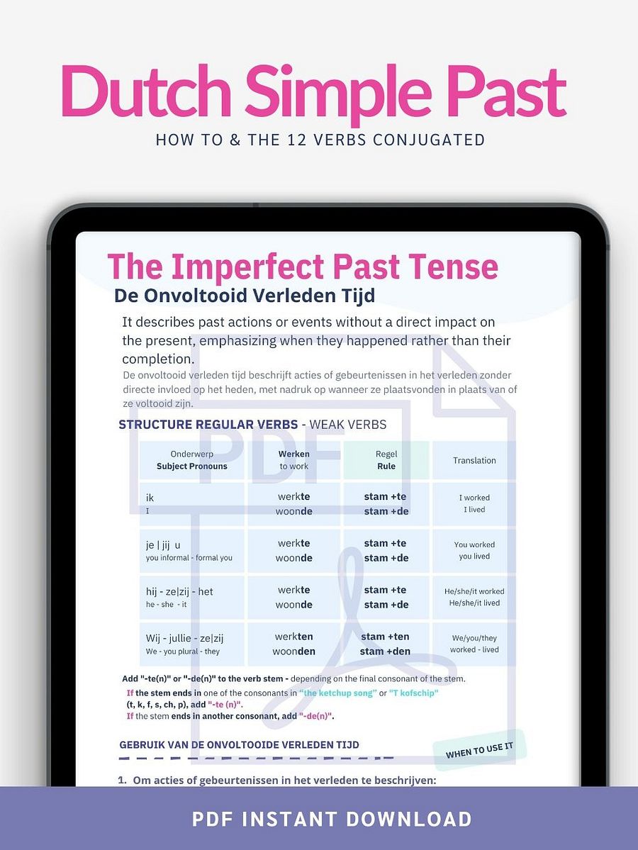 The Simple Past product image (1)