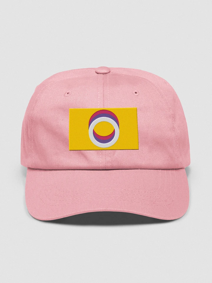 Nonpolar Nonbinary Pride Flag - Embroidered Hat product image (1)