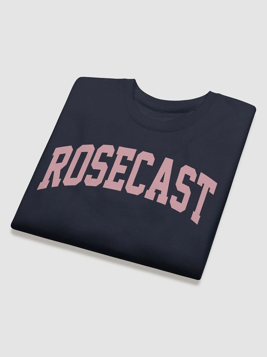College Block Crewneck Sweatshirt (Premium) product image (2)