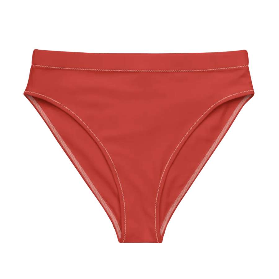 Monkey Business Chico Bikini Bottom product image (5)