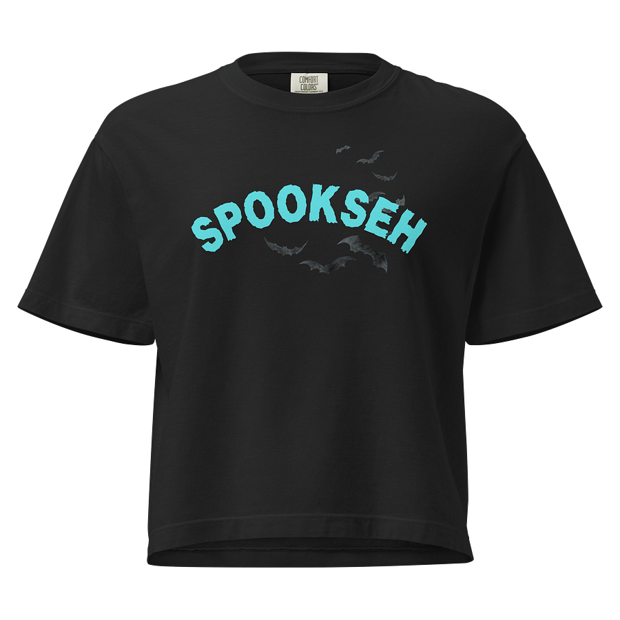 Spooky Bat Boxy Tee product image (2)