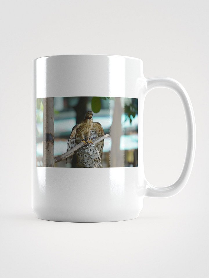 Raptor Perch Mug product image (1)