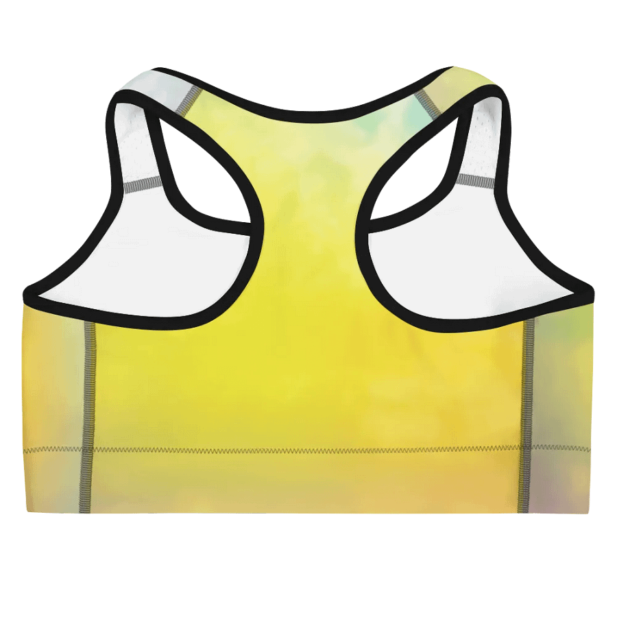 Blur cloud rainbow Design Sports Bra - V9 product image (9)