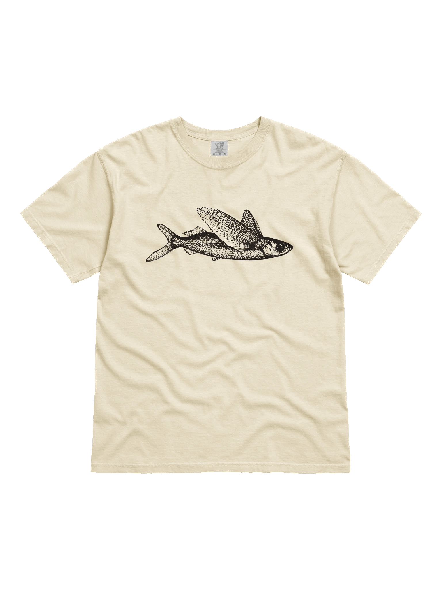 Flying fish - Print product image (31)