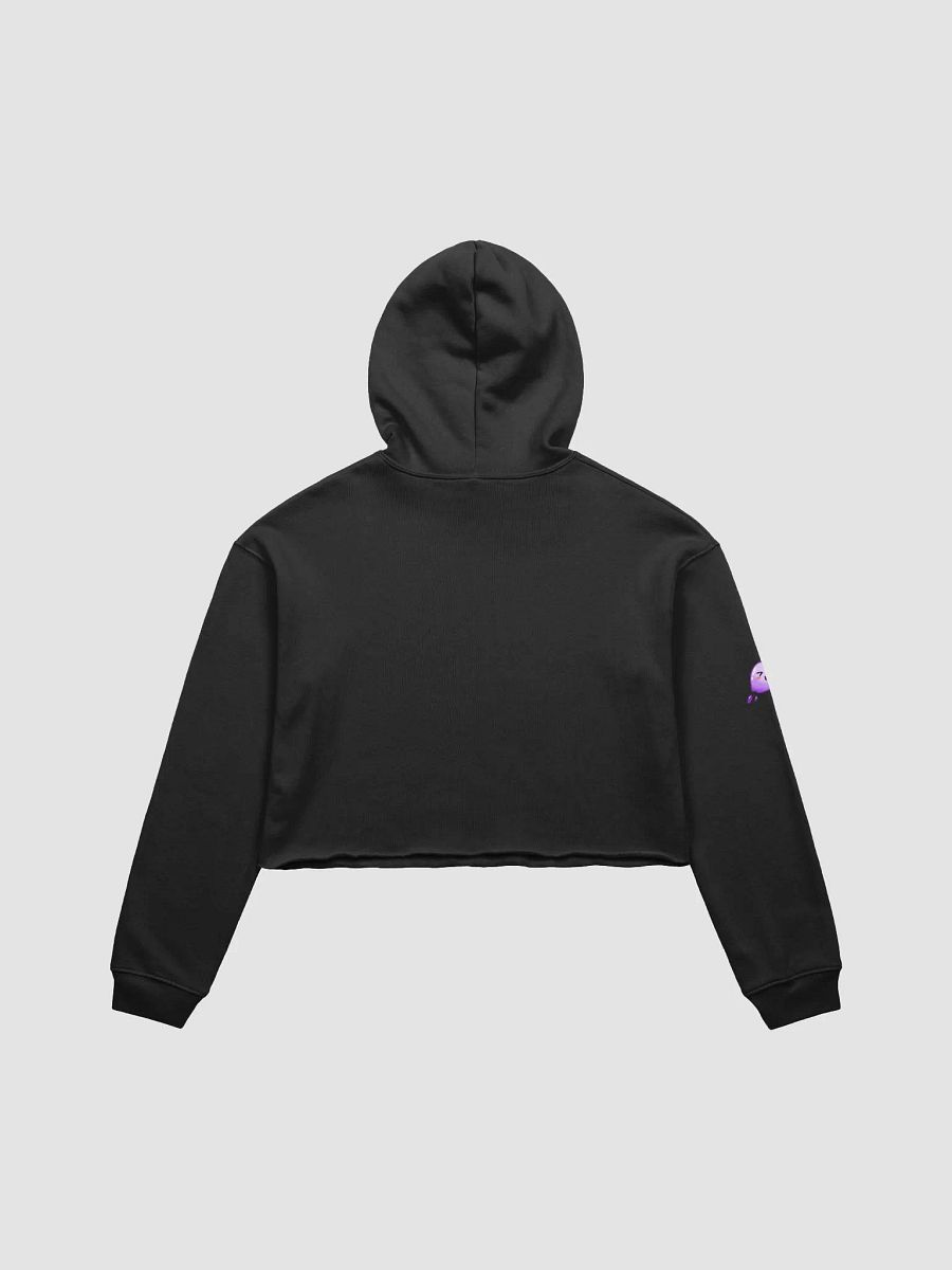 Ama Crop Hoodie product image (2)