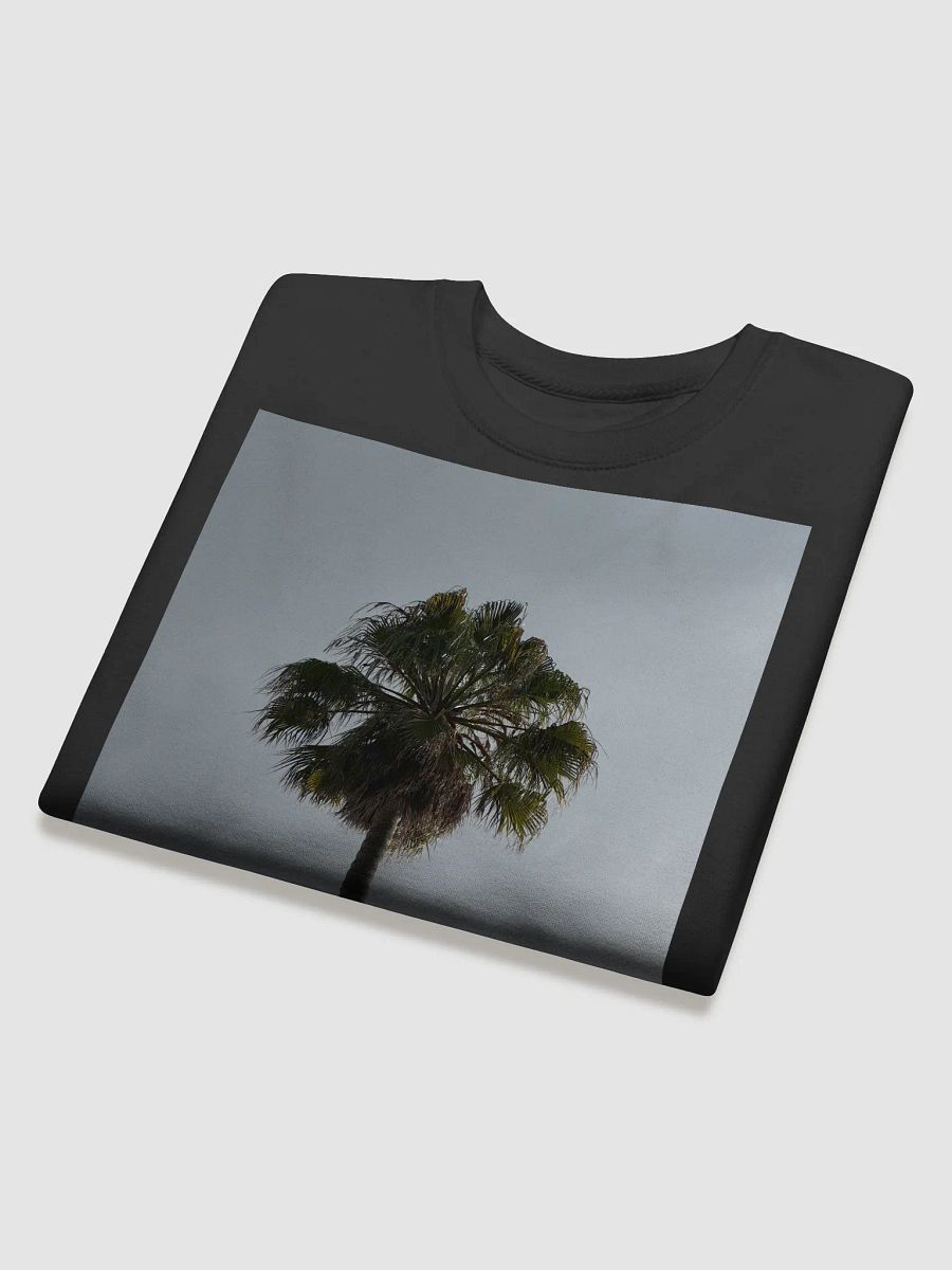 Palm Tree product image (4)