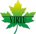 Virtu