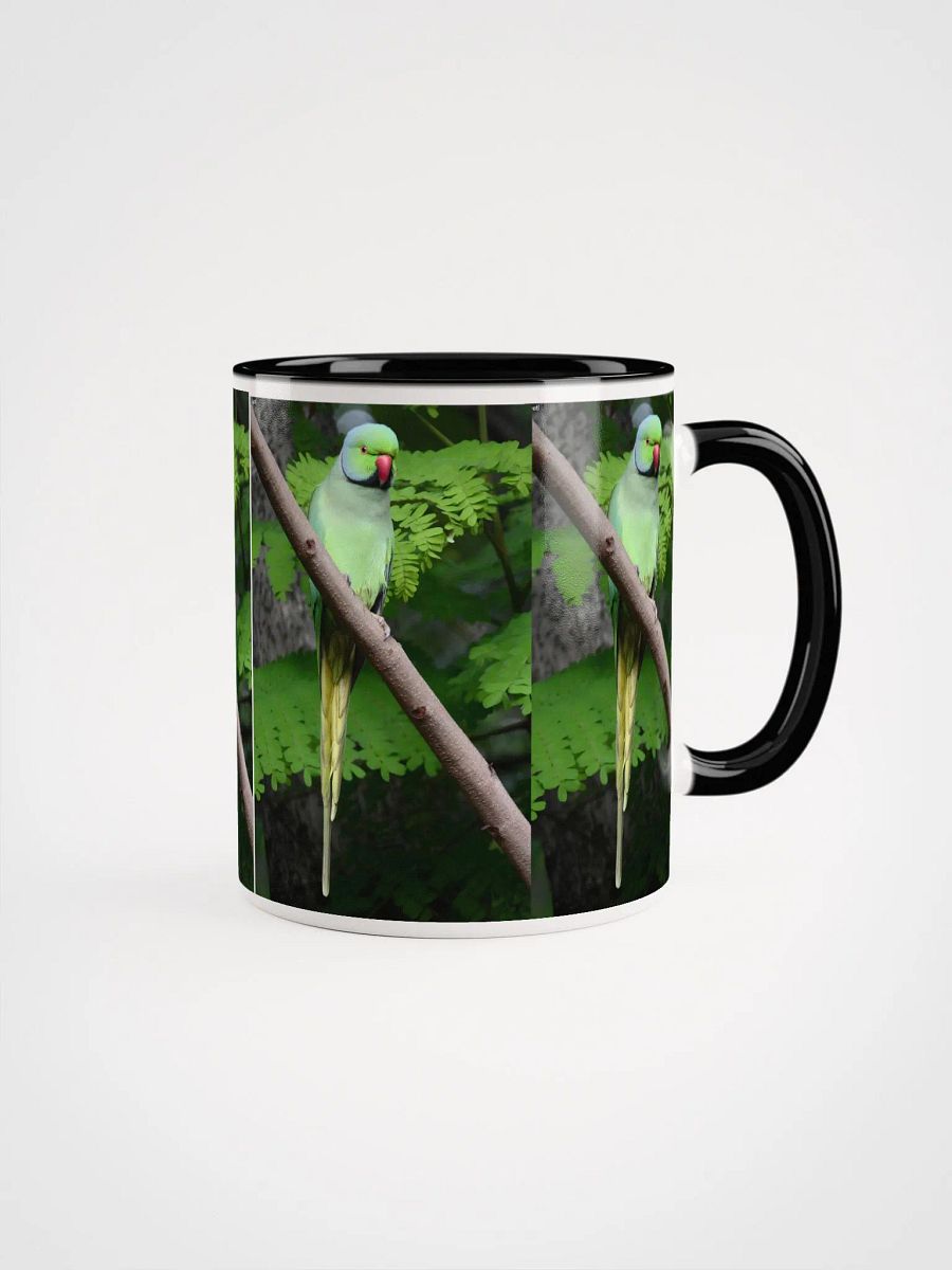 IUCAA Birds MUG product image (1)