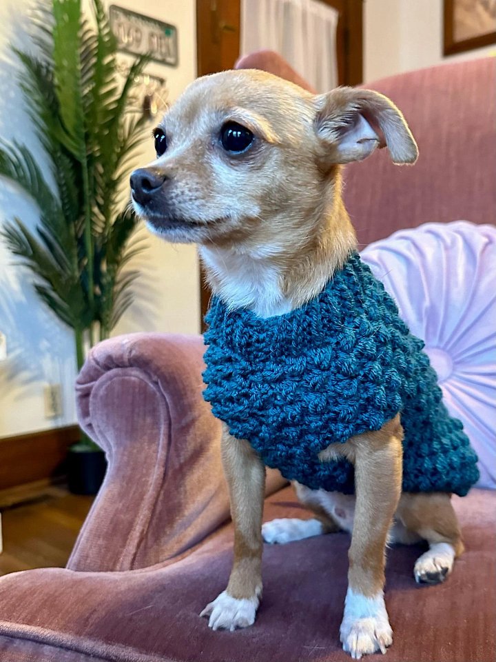 Tiny Berry Dog Sweater Crochet Pattern product image (2)