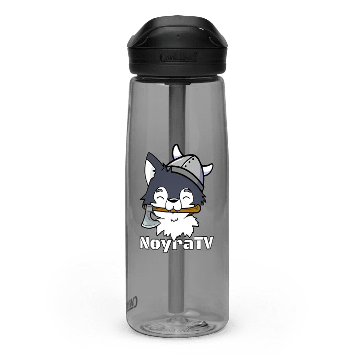 The Amadeus Raider Camelbak Water Bottle product image (19)