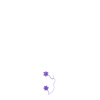 Border1 product image (2)