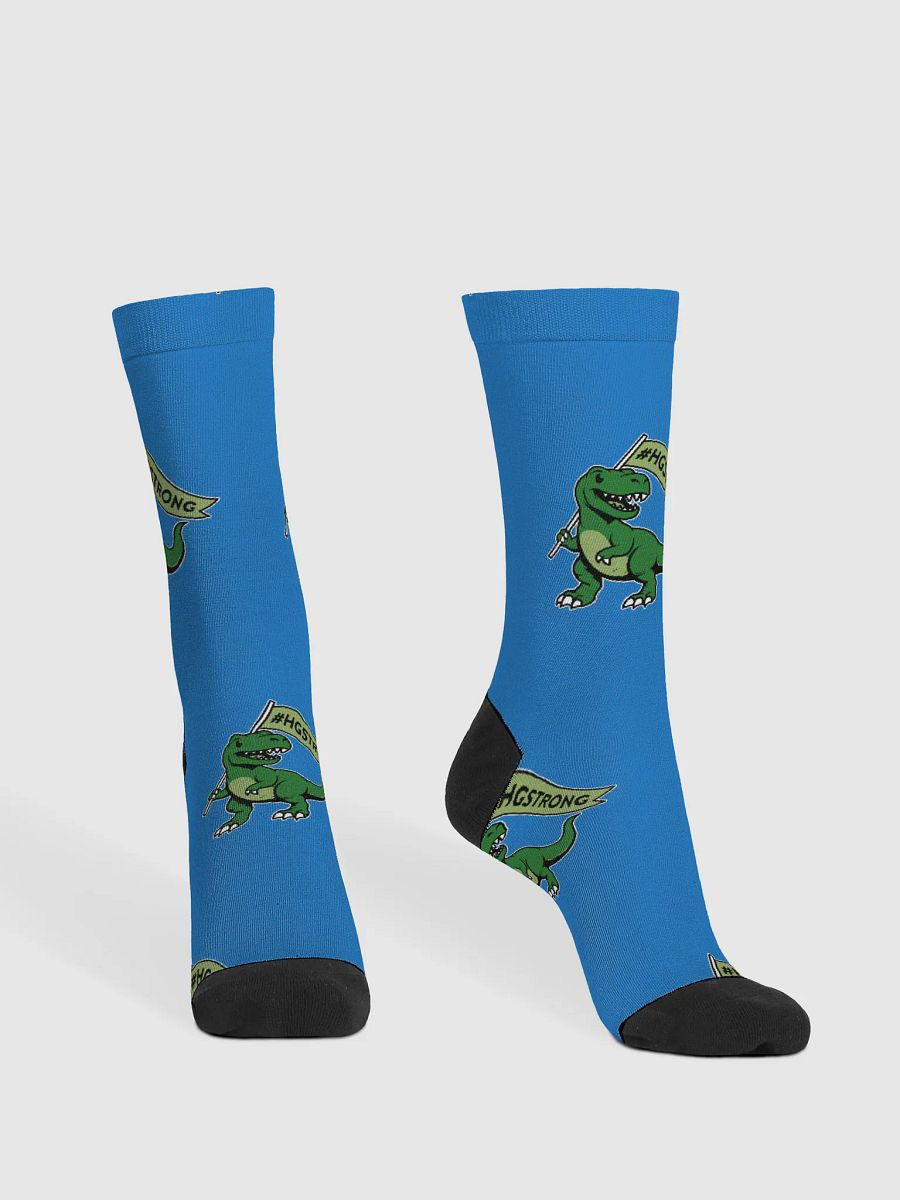 #HGStrong Socks product image (2)