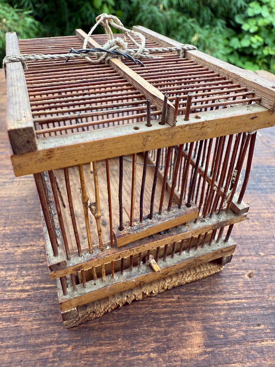 🎎 Antique Japanese Mushi Kago Insect Cage – Handcrafted Bamboo Folk Art – Japan Antique Roadshow product image (4)
