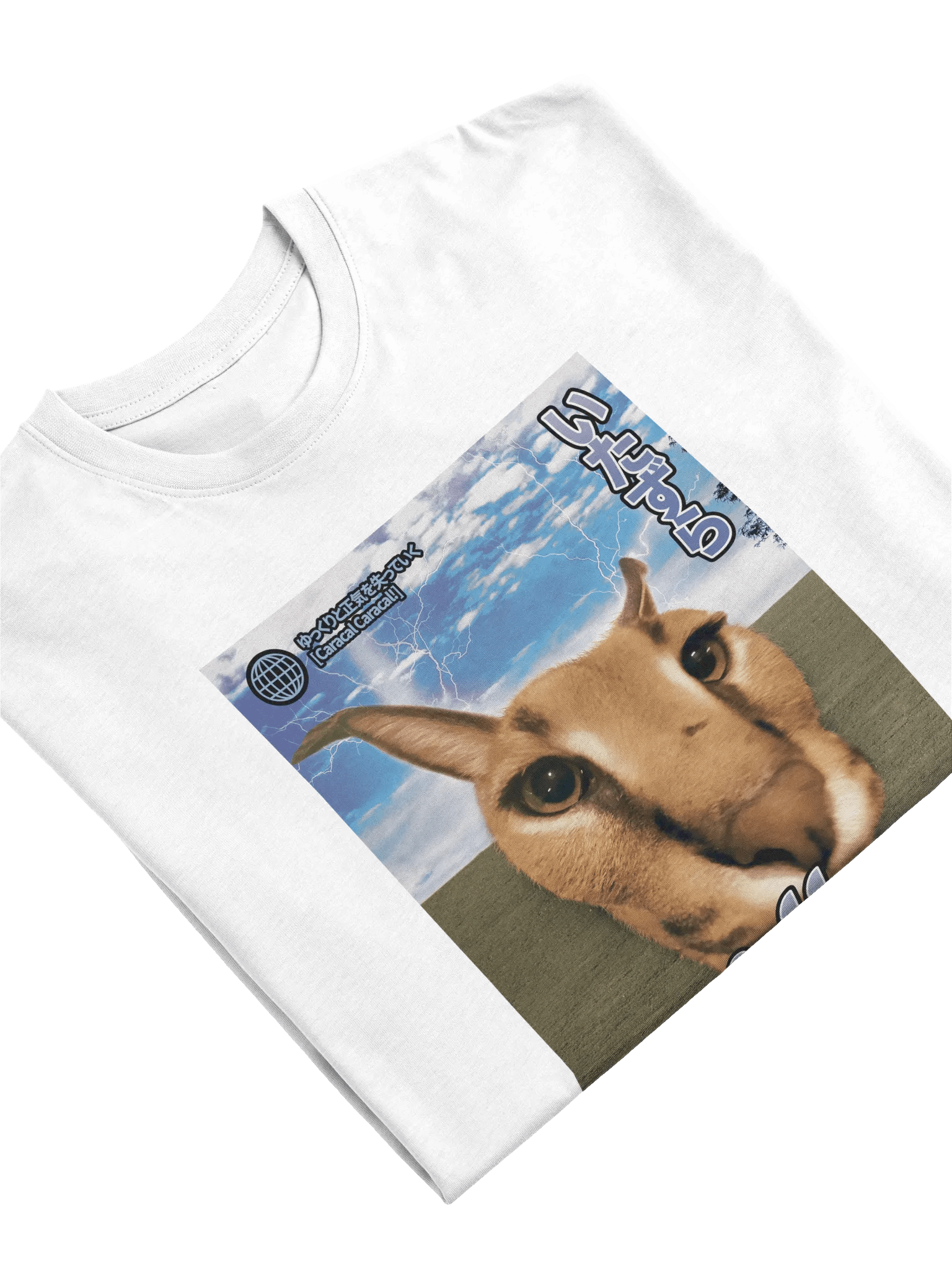 "SILLY" CARACAL JAPANESE STYLE HEAVYWEIGHT TEE product image (10)