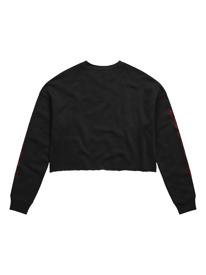 Sparrow Long Sleeve Crop Top product image (2)