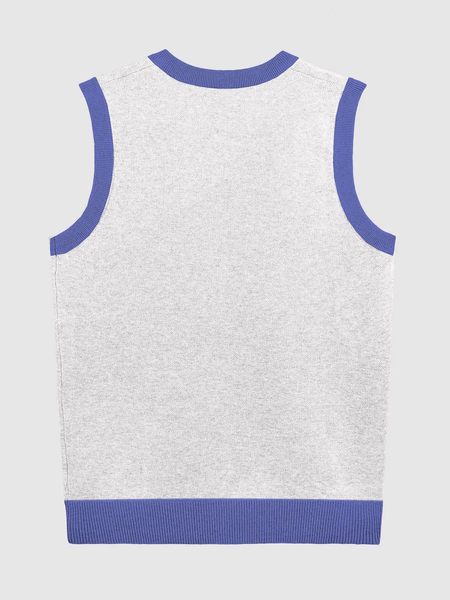 Homesick: Logo Sweater Vest product image (6)