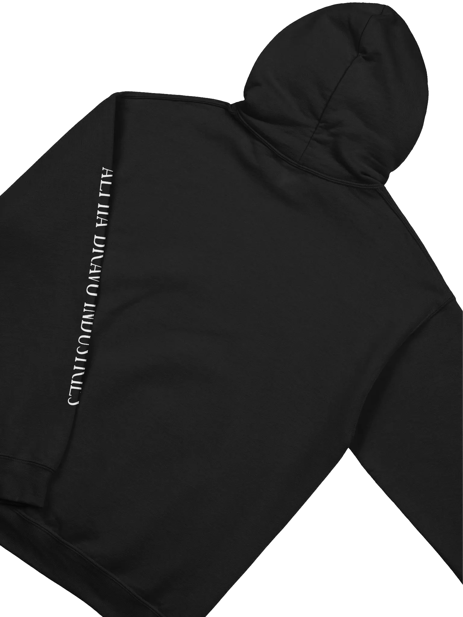 Deployment Edition Hoodie: somalagonia product image (22)