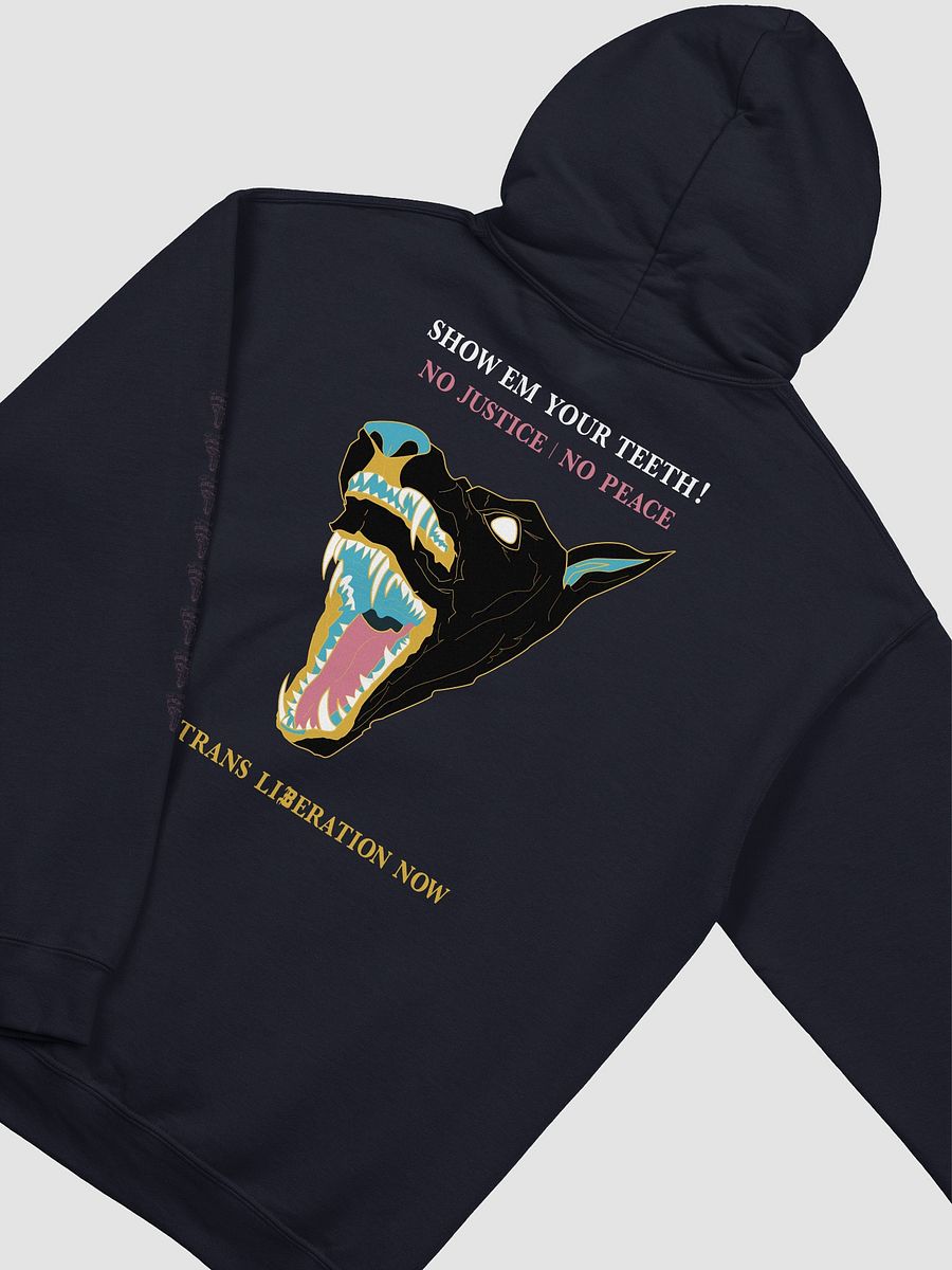 Show Em hoodie 2 product image (4)