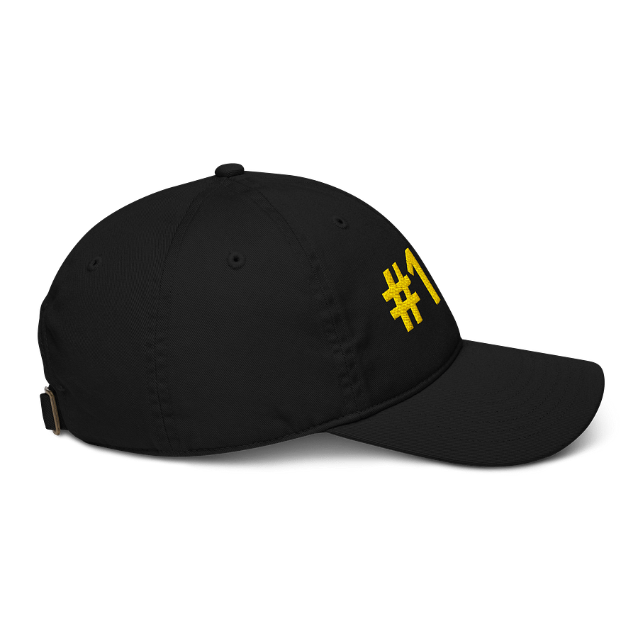Organic #1 DAD Hat product image (6)