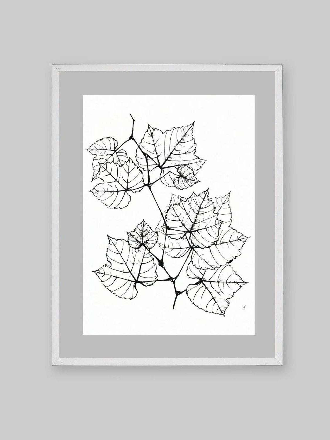 Veined Botanical Branch Matte Poster - Grape Leaves Elegant product image (10)