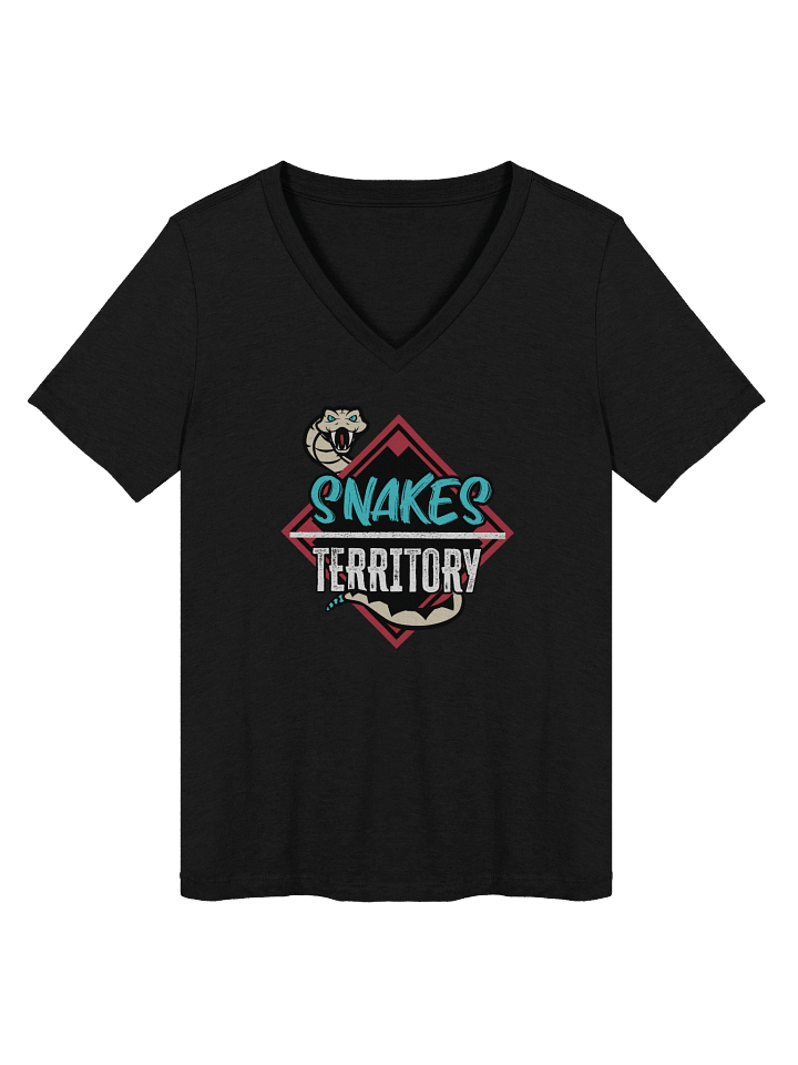 Women's V-Neck T-Shirt product image (2)