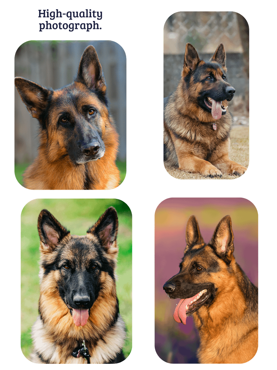 YOUR BEST FRIEND! / T-SHIRT WITH PERSONALIZED NAME / DIGITAL ART IV product image (4)